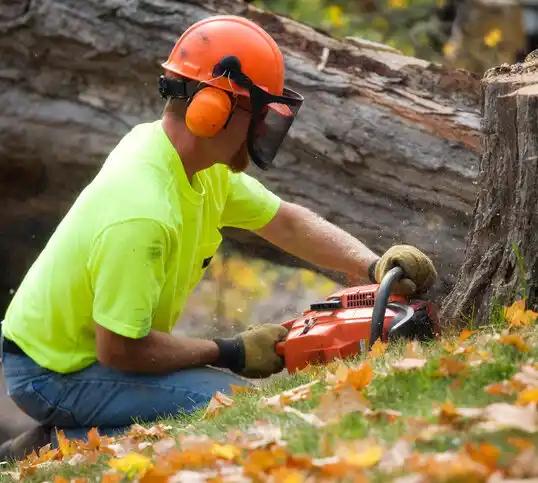 tree services Walkersville